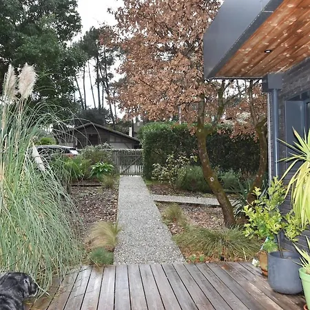 Vila & Forest 5br & Pool Lacanau